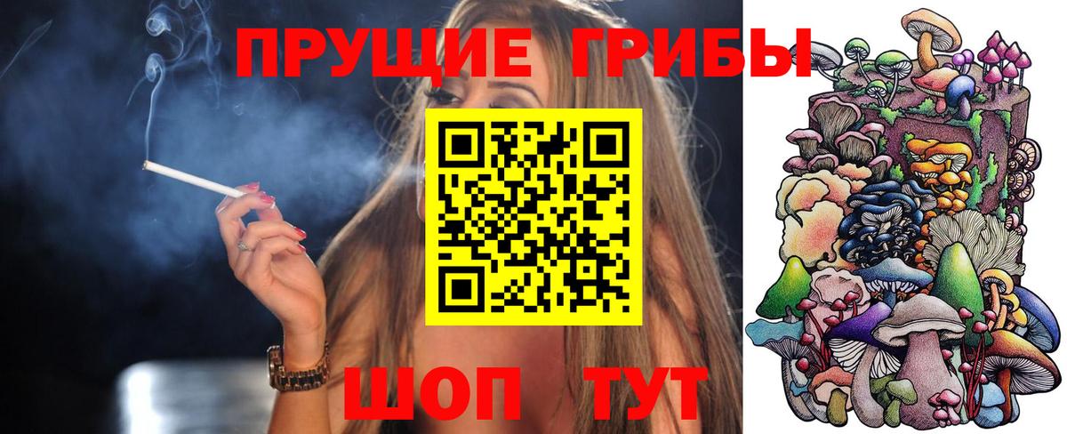 Псилоцибиновые грибы мухоморы Вологда