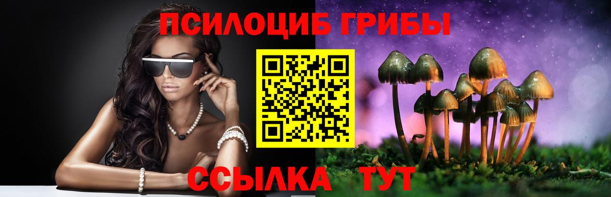закладка  Вход с VPN  Галлюциногенные грибы прущие грибы  Вологда  Галлюциногенные грибы мицелий 